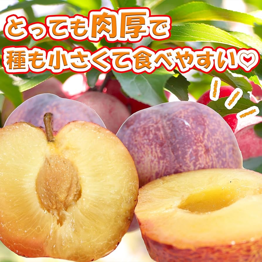 qumikmi　貴陽　自宅用　2箱 貴陽 家庭用 2K箱入り「送料無料」 - 【信州松川・山田農園